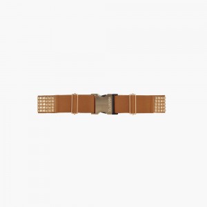 Goldbergh STUD Belt Brown | 01472-HTVX