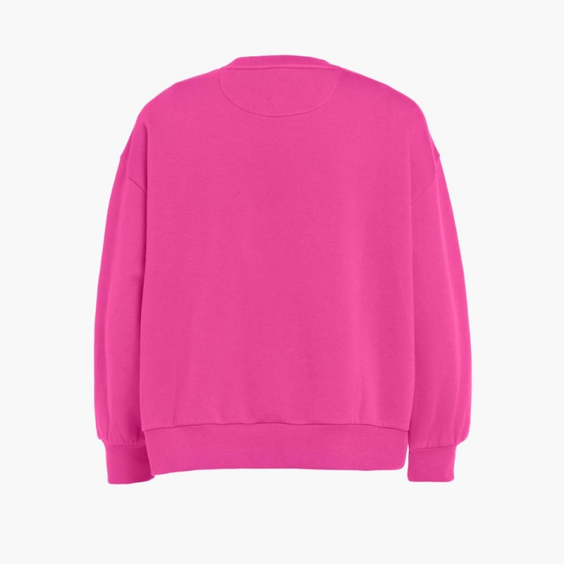 Goldbergh RINK crew neck Sweater Pink | 29760-VAOU